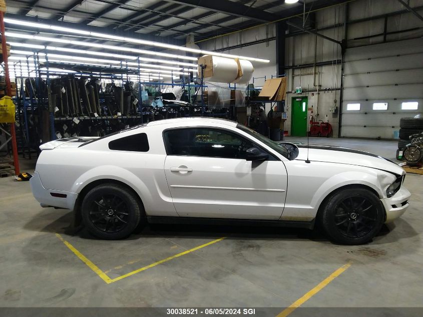 2008 Ford Mustang VIN: 1ZVHT80N085186266 Lot: 30038521