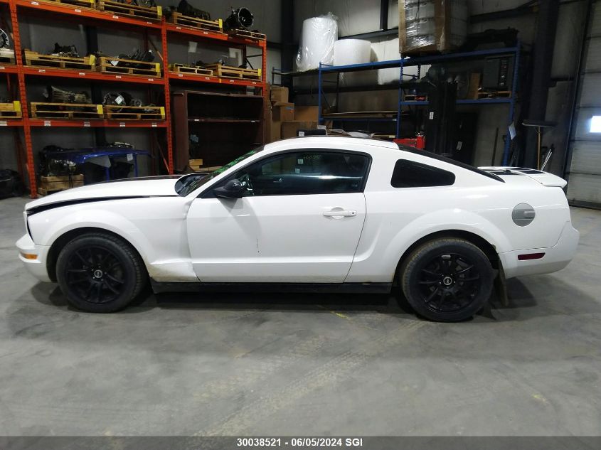 2008 Ford Mustang VIN: 1ZVHT80N085186266 Lot: 30038521