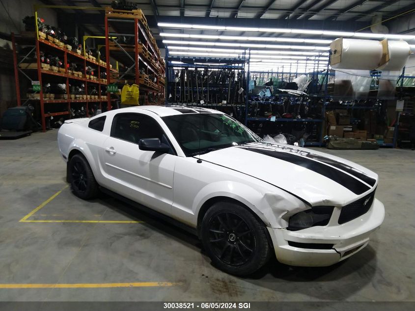 2008 Ford Mustang VIN: 1ZVHT80N085186266 Lot: 30038521