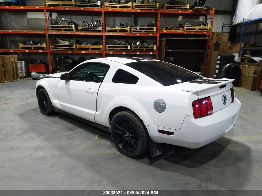 2008 Ford Mustang VIN: 1ZVHT80N085186266 Lot: 30038521