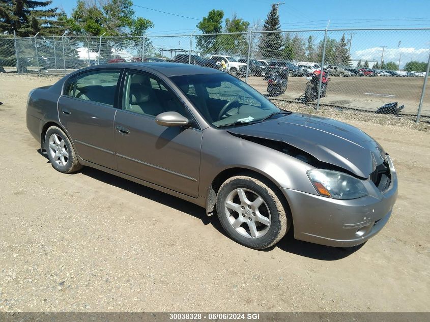 2005 Nissan Altima S/Sl VIN: 1N4AL11E95C131287 Lot: 30038328