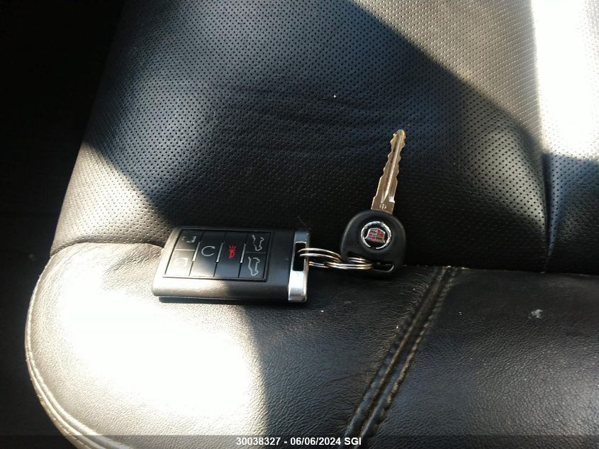 2010 Cadillac Escalade Hybrid VIN: 1GYUKEEJXAR211658 Lot: 30038327