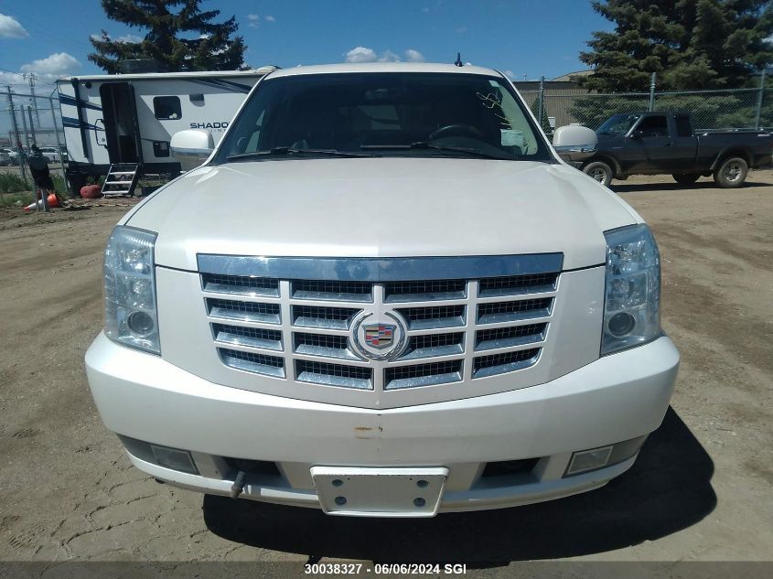 2010 Cadillac Escalade Hybrid VIN: 1GYUKEEJXAR211658 Lot: 30038327