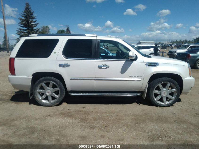 2010 Cadillac Escalade Hybrid VIN: 1GYUKEEJXAR211658 Lot: 30038327