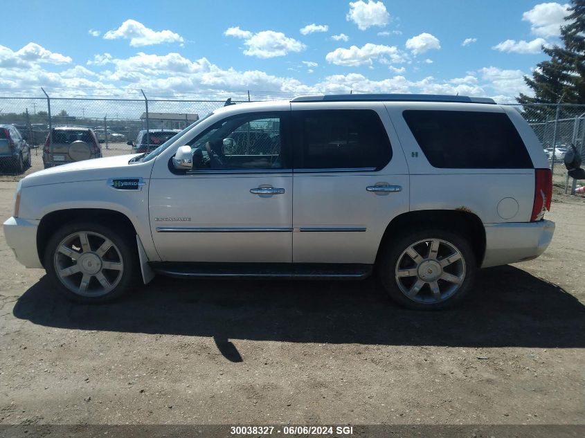 2010 Cadillac Escalade Hybrid VIN: 1GYUKEEJXAR211658 Lot: 30038327