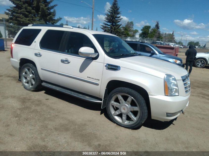 2010 Cadillac Escalade Hybrid VIN: 1GYUKEEJXAR211658 Lot: 30038327