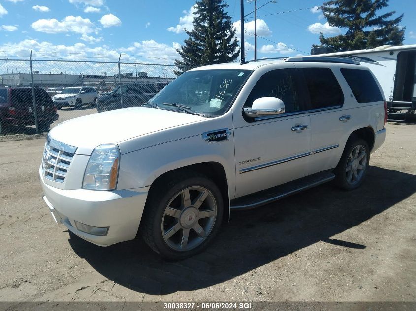 2010 Cadillac Escalade Hybrid VIN: 1GYUKEEJXAR211658 Lot: 30038327