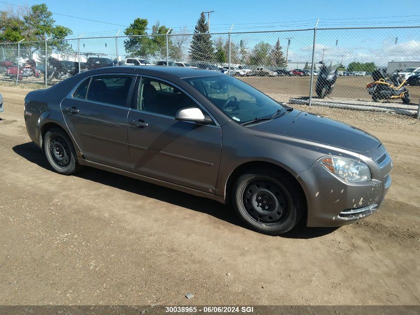 2010 Chevrolet Malibu 1Lt VIN: 1G1ZC5E05A4106497 Lot: 30038965