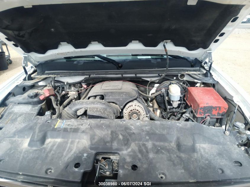 2010 Chevrolet Silverado K1500 Ls VIN: 1GCSKREA1AZ219846 Lot: 30038980