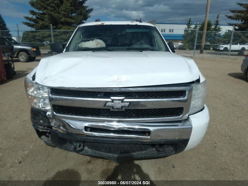 2010 Chevrolet Silverado K1500 Ls VIN: 1GCSKREA1AZ219846 Lot: 30038980