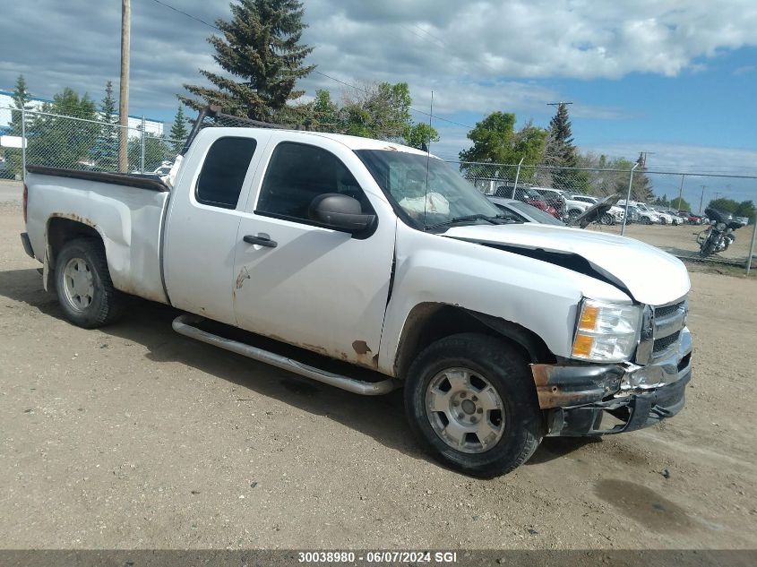 2010 Chevrolet Silverado K1500 Ls VIN: 1GCSKREA1AZ219846 Lot: 30038980