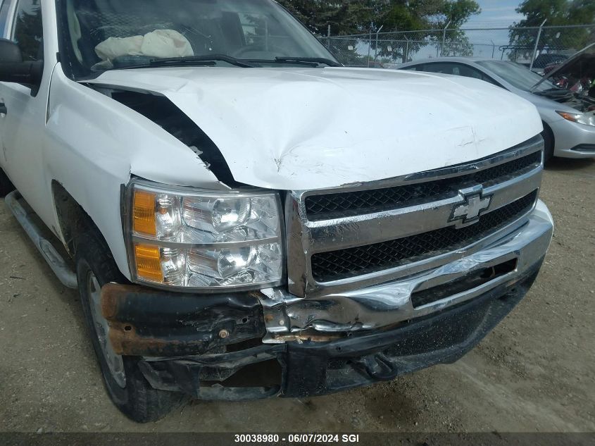 2010 Chevrolet Silverado K1500 Ls VIN: 1GCSKREA1AZ219846 Lot: 30038980