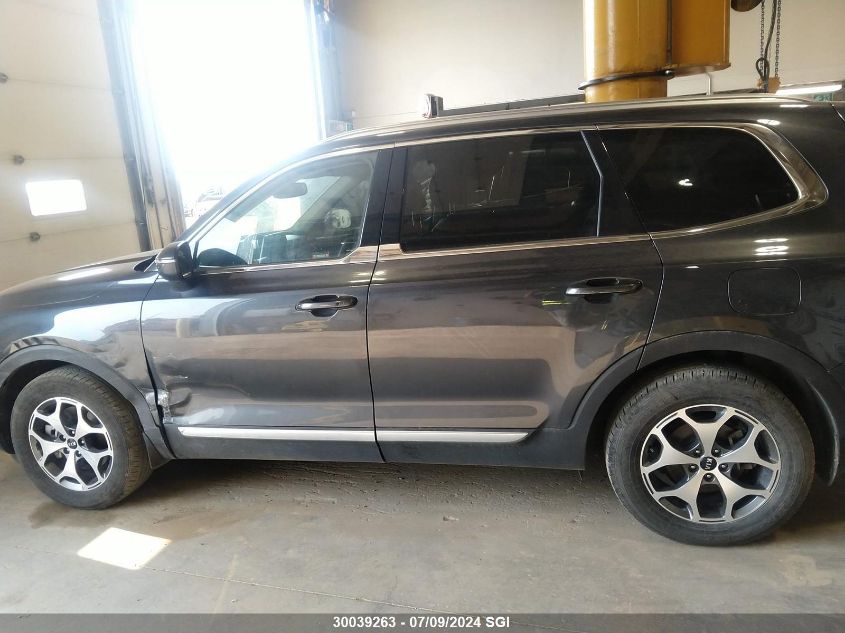 2020 Kia Telluride Ex VIN: 5XYP3DHC0LG008044 Lot: 30039263