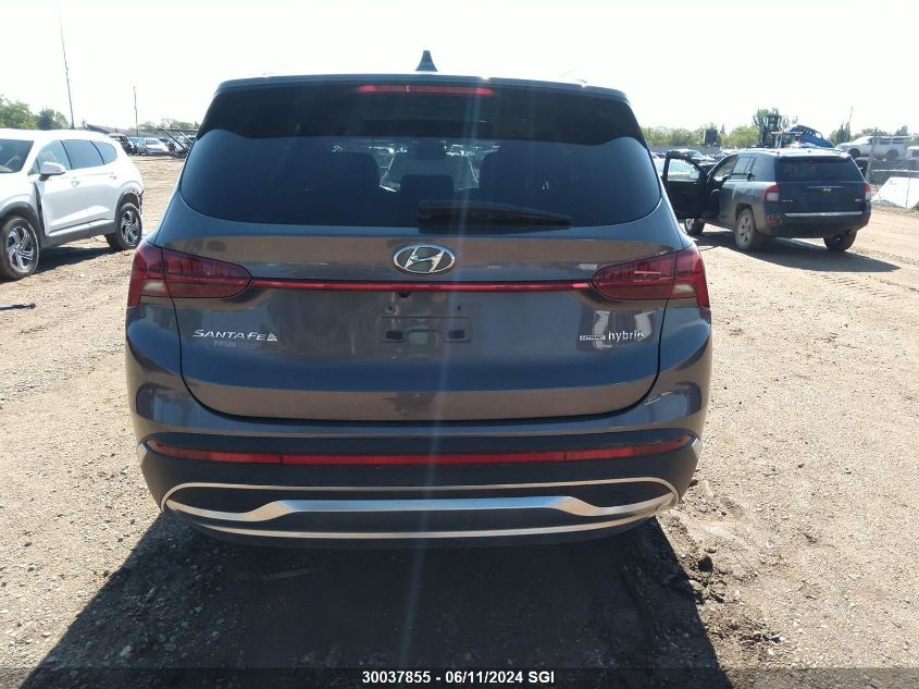 2023 Hyundai Santa Fe Limited VIN: KM8S5DA18PU086021 Lot: 30037855