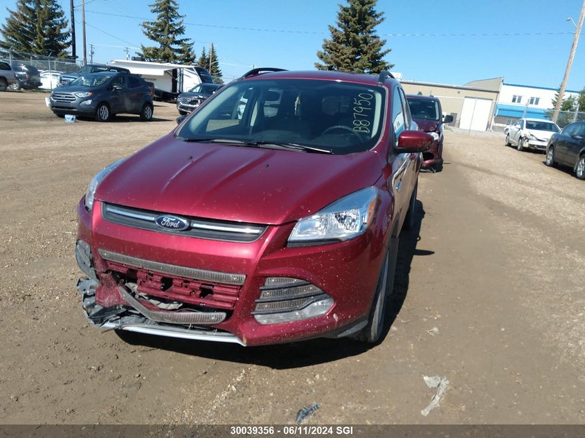 2014 Ford Escape Se VIN: 1FMCU9G9XEUB87950 Lot: 30039356
