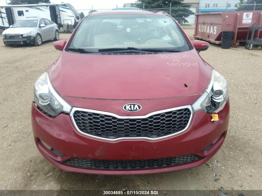 2014 Kia Forte Lx VIN: KNAFX4A63E5110208 Lot: 30034695