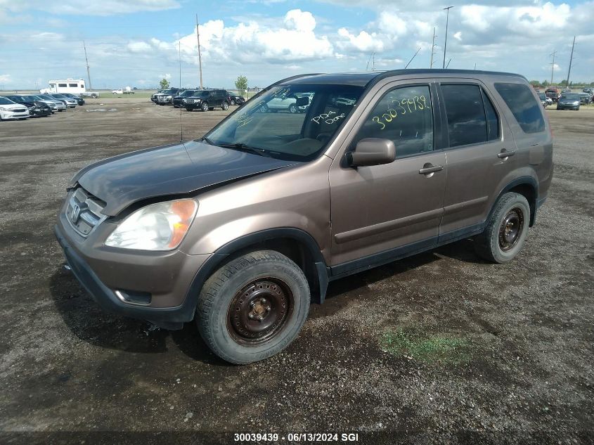 2004 Honda Cr-V Ex VIN: JHLRD789X4C806619 Lot: 30039439