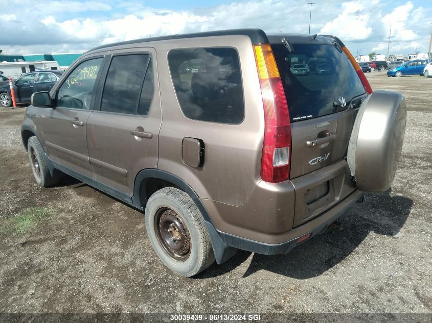 2004 Honda Cr-V Ex VIN: JHLRD789X4C806619 Lot: 30039439