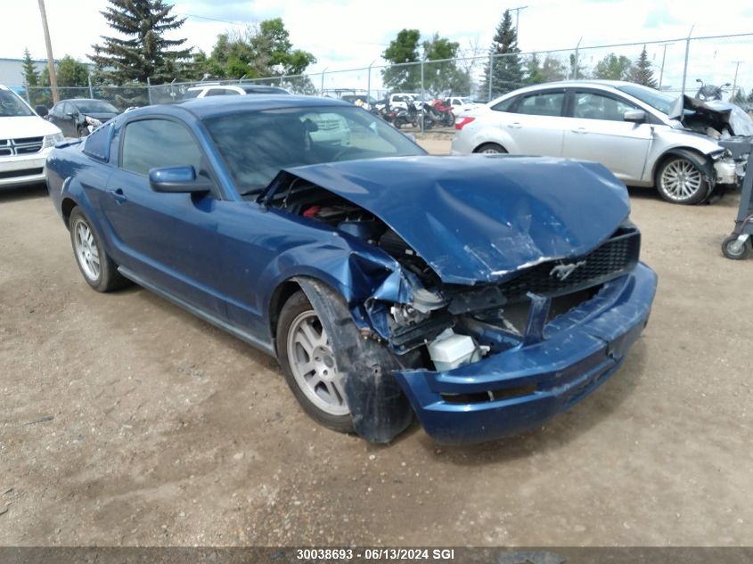 2007 Ford Mustang VIN: 1ZVFT80N675309719 Lot: 30038693