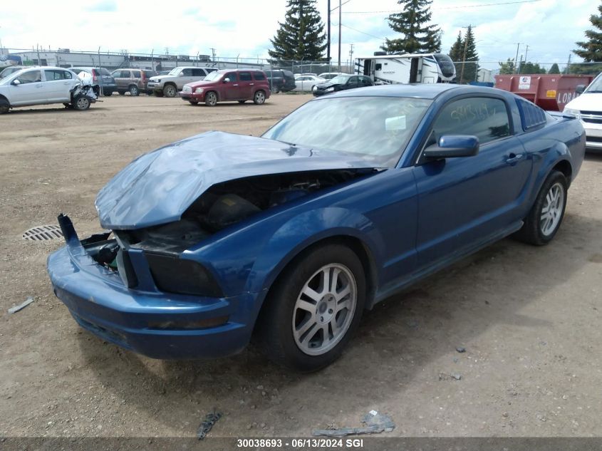 2007 Ford Mustang VIN: 1ZVFT80N675309719 Lot: 30038693