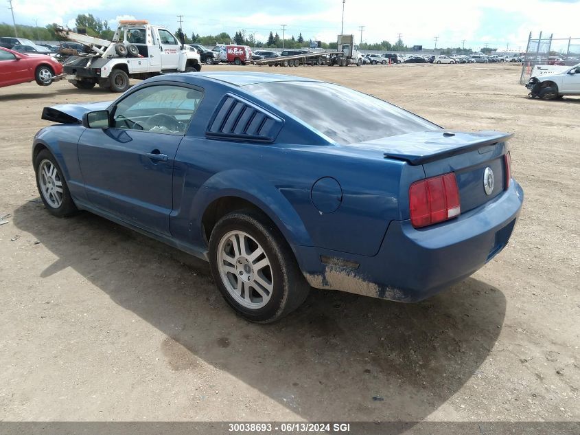 2007 Ford Mustang VIN: 1ZVFT80N675309719 Lot: 30038693