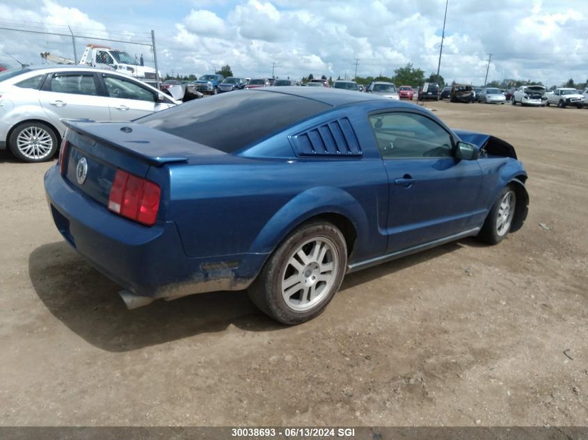 2007 Ford Mustang VIN: 1ZVFT80N675309719 Lot: 30038693