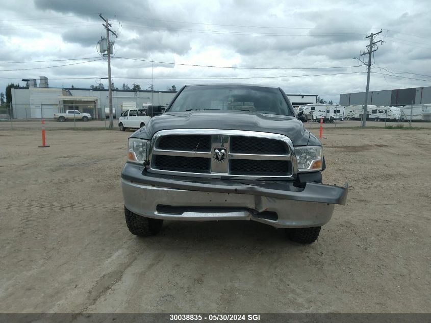 2010 Dodge Ram 1500 VIN: 1D7RV1GT3AS102791 Lot: 30038835