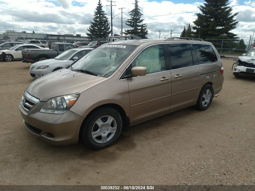 2007 Honda Odyssey Exl VIN: 5FNRL38627B508801 Lot: 30039252