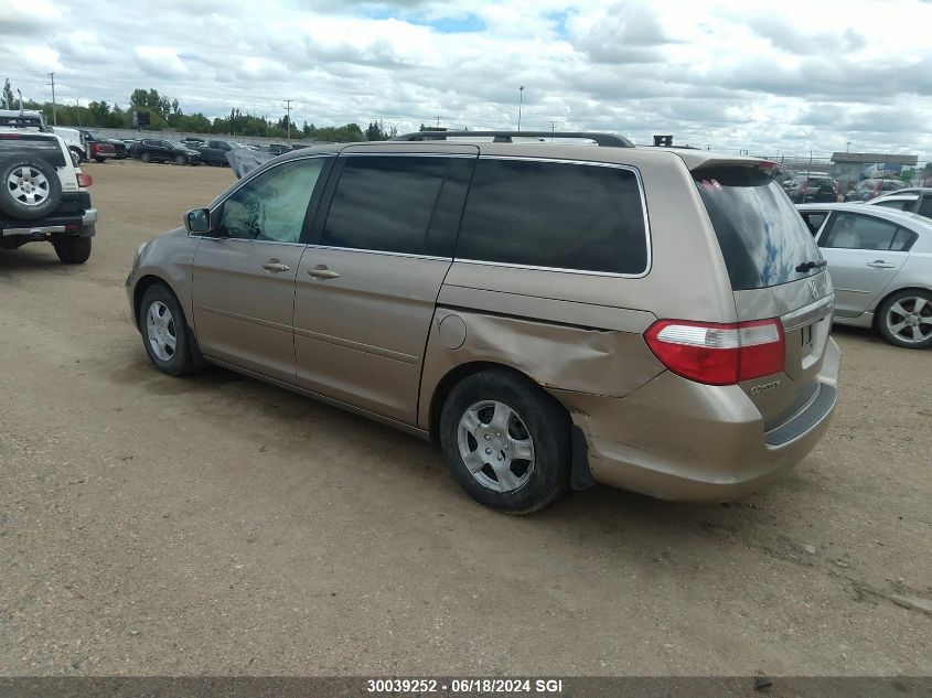 2007 Honda Odyssey Exl VIN: 5FNRL38627B508801 Lot: 30039252