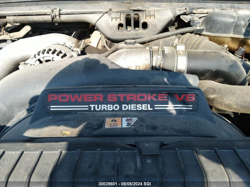 2005 Ford F250 Super Duty VIN: 1FTSW21P85EB46381 Lot: 30039601