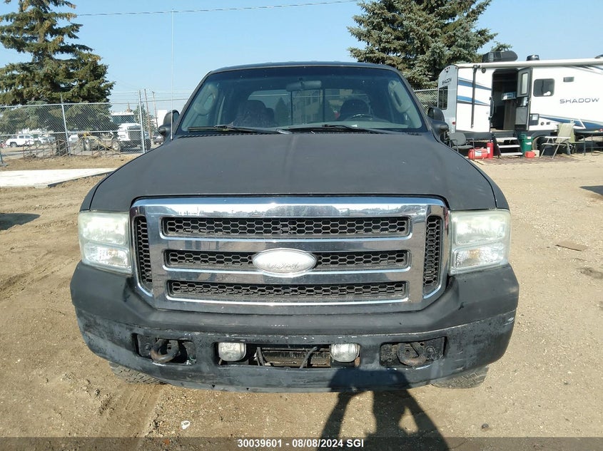 2005 Ford F250 Super Duty VIN: 1FTSW21P85EB46381 Lot: 30039601