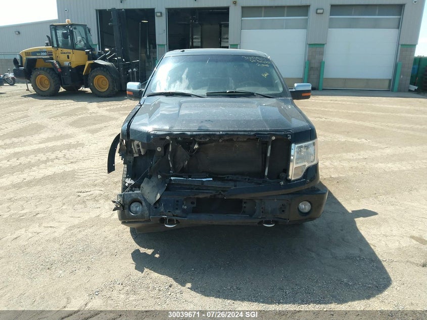 2010 Ford F150 Supercrew VIN: 1FTFW1EV1AFA99249 Lot: 30039671