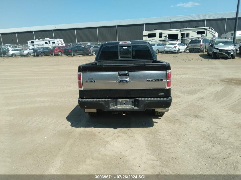 2010 Ford F150 Supercrew VIN: 1FTFW1EV1AFA99249 Lot: 30039671