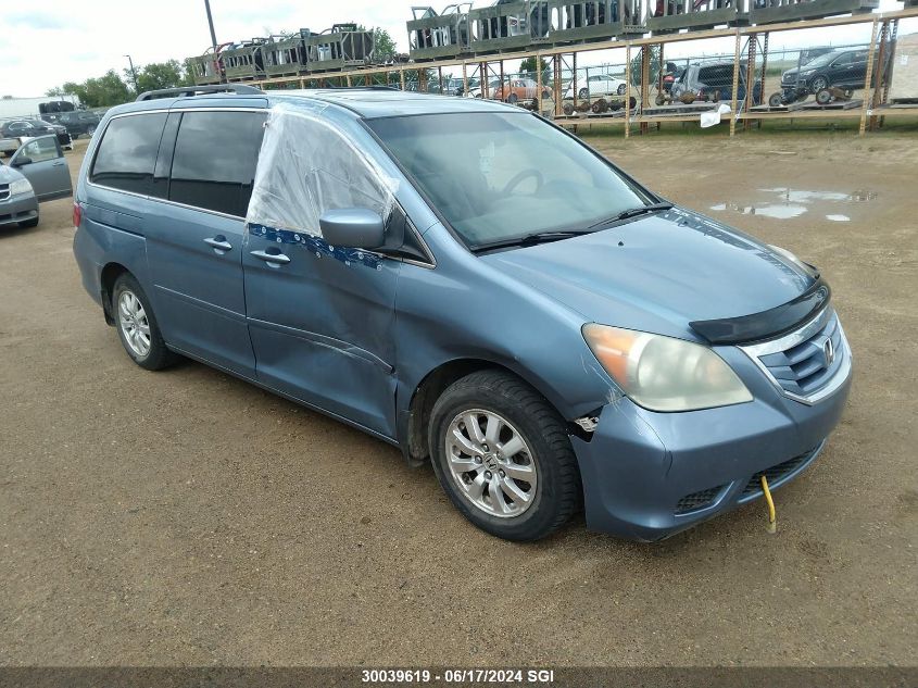 2008 Honda Odyssey VIN: 5FNRL38648B506923 Lot: 30039619