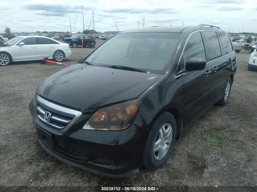 2007 Honda Odyssey Exl VIN: 5FNRL38647B513126 Lot: 30039752