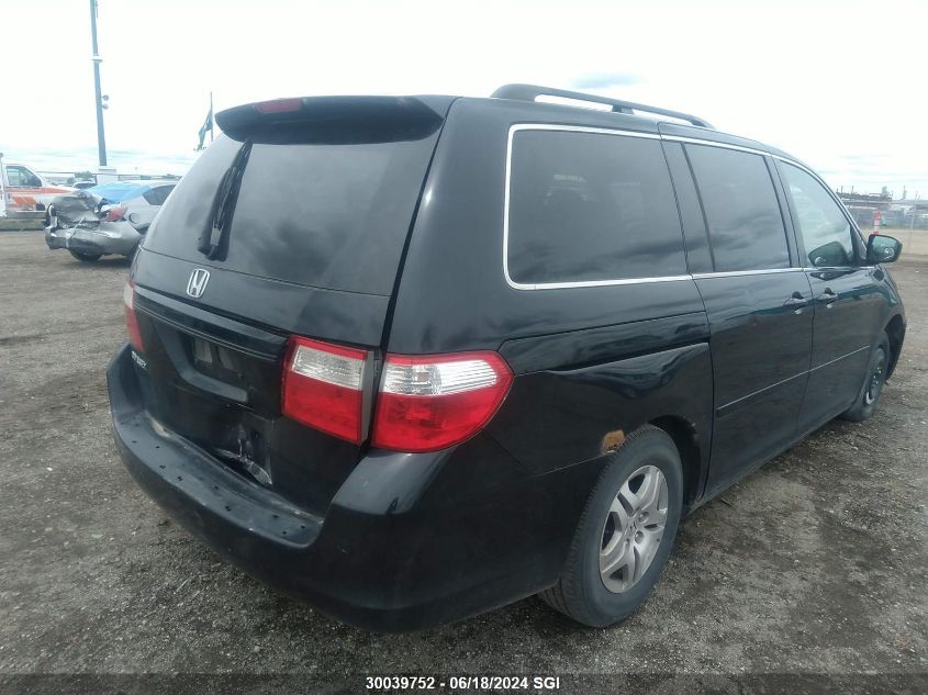 2007 Honda Odyssey Exl VIN: 5FNRL38647B513126 Lot: 30039752