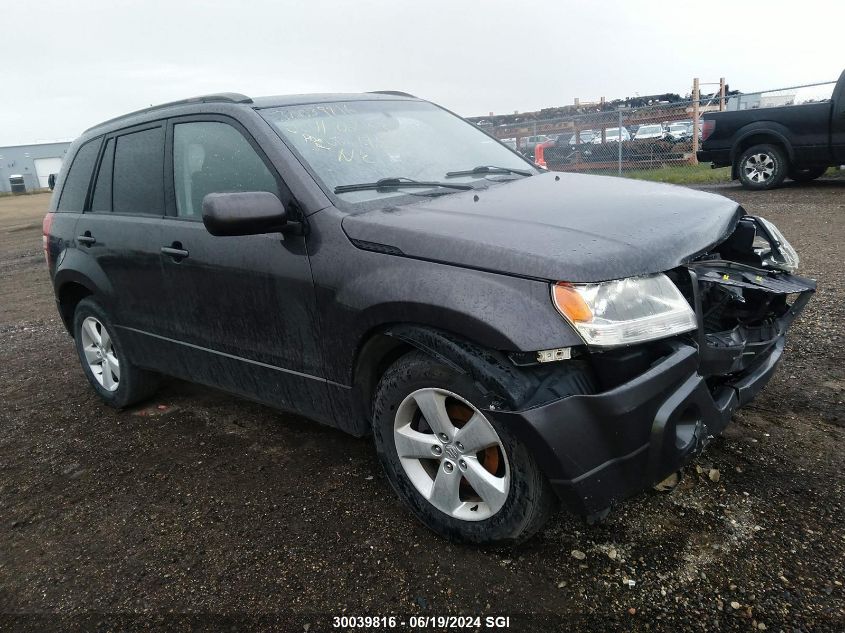 2010 Suzuki Grand Vitara Premium VIN: JS3TD0D2XA4102463 Lot: 30039816