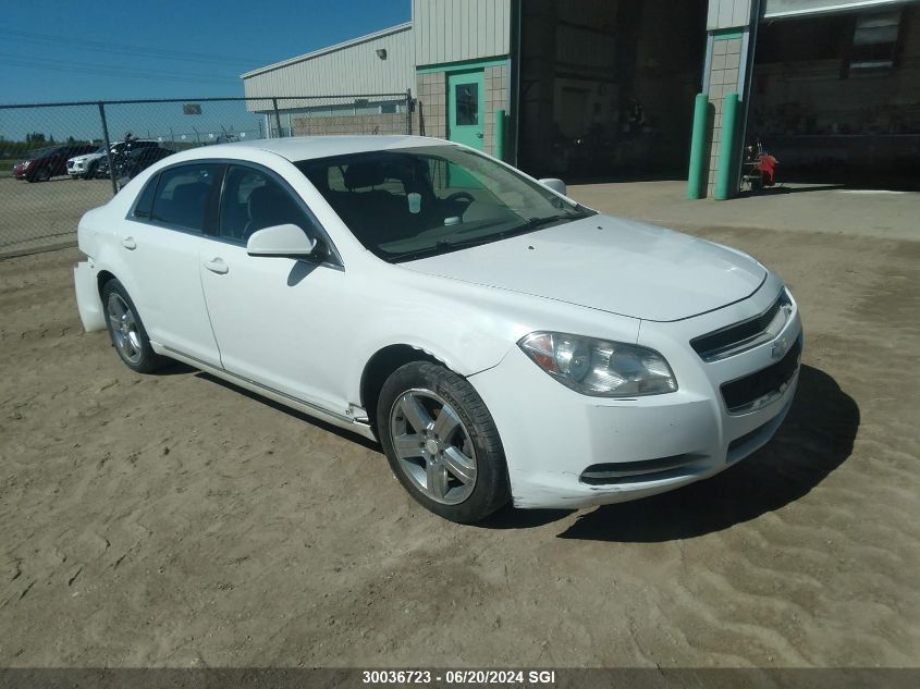 2009 Chevrolet Malibu 1Lt VIN: 1G1ZH57BX9F127118 Lot: 30036723