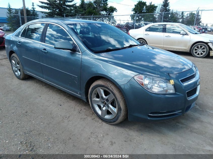 2009 Chevrolet Malibu 1Lt VIN: 1G1ZH57B894170805 Lot: 30039943