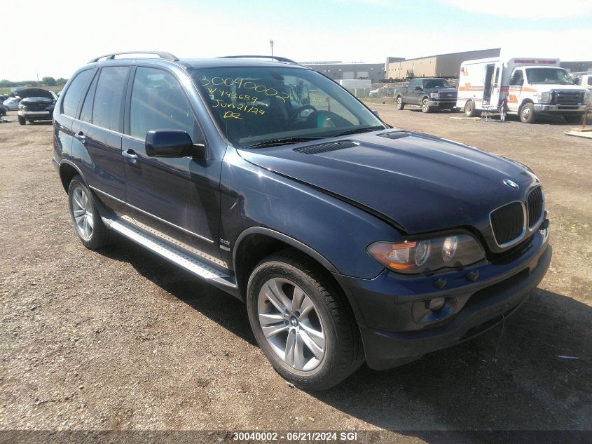 2006 BMW X5 3.0I VIN: 5UXFA13526LY43689 Lot: 30040002