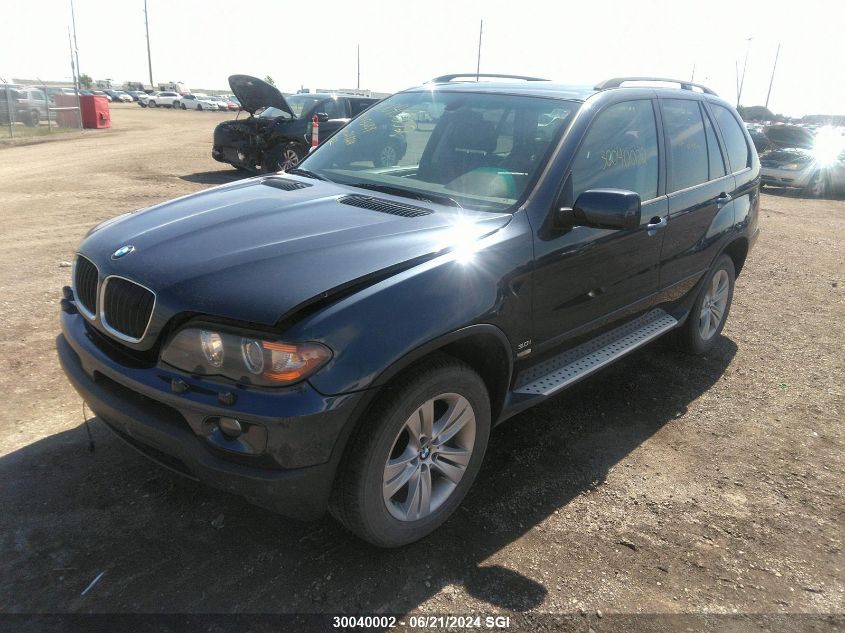 2006 BMW X5 3.0I VIN: 5UXFA13526LY43689 Lot: 30040002