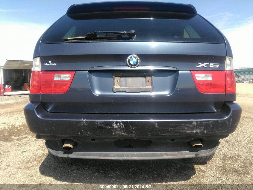 2006 BMW X5 3.0I VIN: 5UXFA13526LY43689 Lot: 30040002