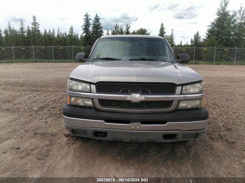 2003 Chevrolet Silverado K1500 VIN: 1GCEK19T83E135897 Lot: 30039678