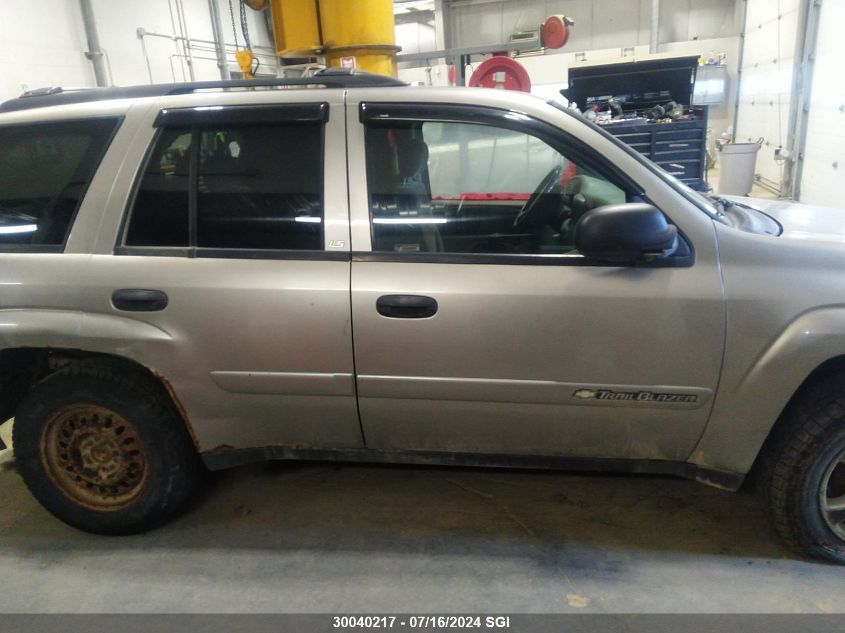 2002 Chevrolet Trailblazer VIN: 1GNDT13S122513302 Lot: 30040217