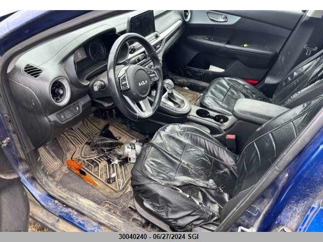 2022 Kia Forte Fe/Lxs VIN: 3KPF24AD0NE438206 Lot: 30040240