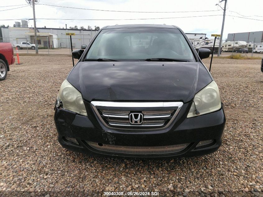 2005 Honda Odyssey Exl VIN: 5FNRL38715B502204 Lot: 30040308