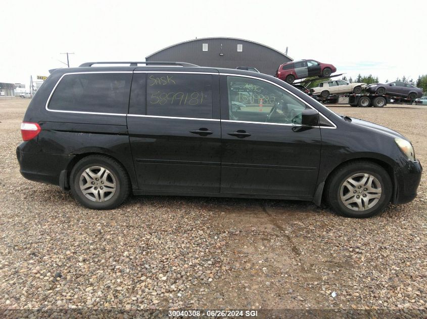 2005 Honda Odyssey Exl VIN: 5FNRL38715B502204 Lot: 30040308
