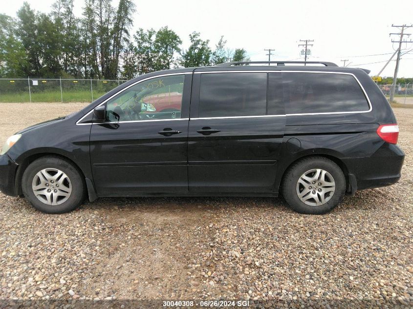 2005 Honda Odyssey Exl VIN: 5FNRL38715B502204 Lot: 30040308