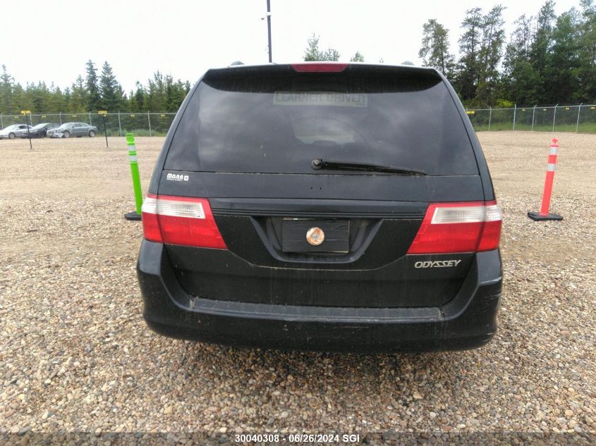 2005 Honda Odyssey Exl VIN: 5FNRL38715B502204 Lot: 30040308