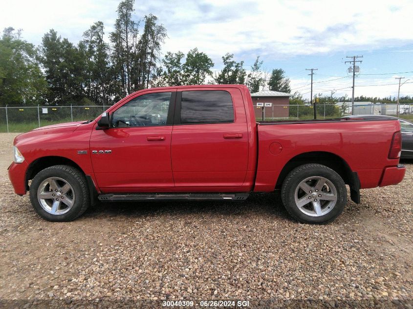 2010 Dodge Ram 1500 VIN: 1D7RV1CT0AS258955 Lot: 30040309